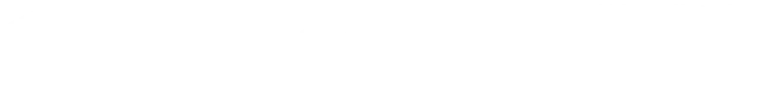 logo-frostima-white